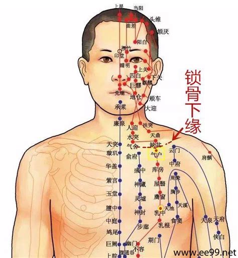 氣穴|氣穴位置 